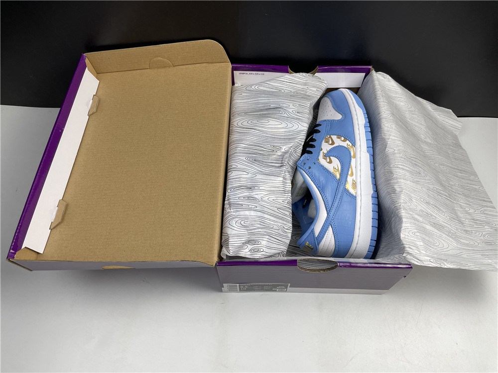 Nike SB Dunk Low  DH3228-141